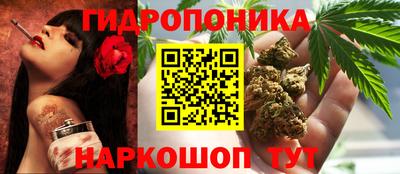 MDMA Premium VHQ Камышлов